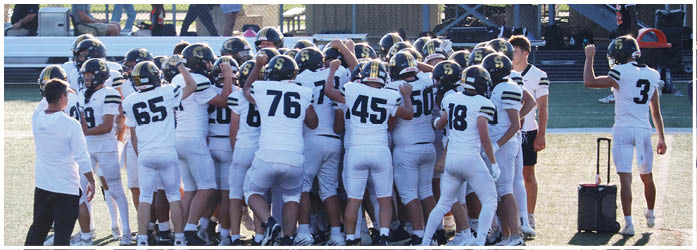 A group of football players on a field. Description generated by AI