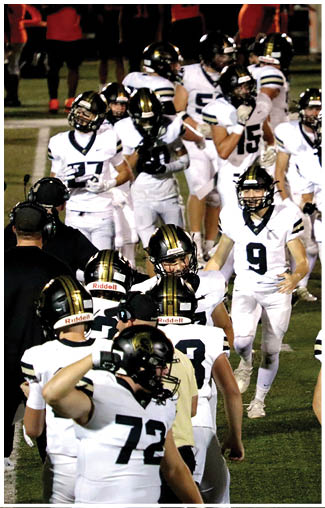 A football player running on the field. Description generated by AI