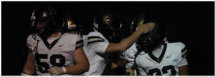 A group of football players on a field. Description generated by AI