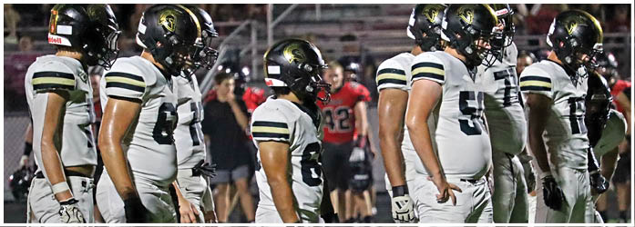 Several people wearing white football uniforms and helmets stand in a row on a field with others and bleachers visible in the background. Description generated by AI
