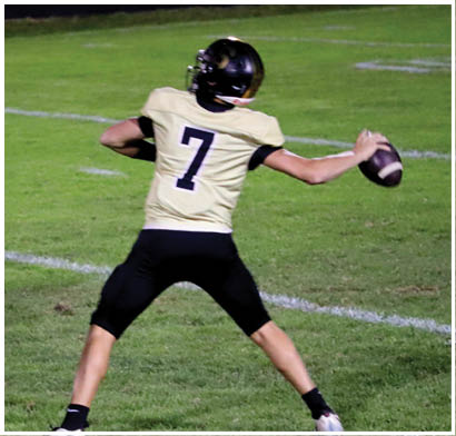 A person wearing a football uniform with the number seven is preparing to throw a football on a grassy field. Description generated by AI