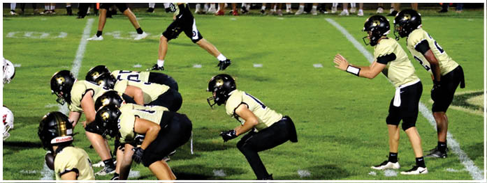 Two opposing American football teams are lined up facing each other on a grassy field, preparing for a play. Description generated by AI