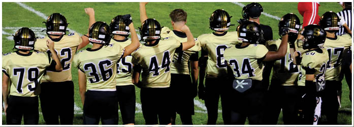 A group of people wearing football helmets and uniforms are raising their fists while standing on a grassy field. Description generated by AI
