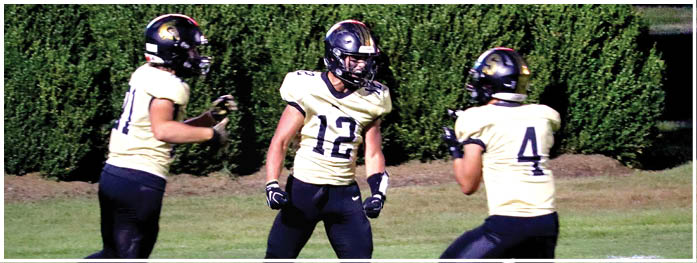 Three people wearing sports uniforms are on a grassy field with one person preparing to kick a football. Description generated by AI
