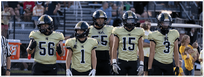 Five people wearing football uniforms with helmets stand side by side on a field with spectators in the background. Description generated by AI