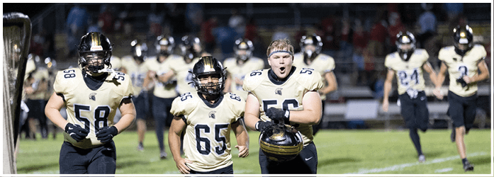 A group of people wearing football uniforms and helmets are standing on a field with one person in the center appearing to shout or cheer. Description generated by AI