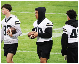 People wearing sports jerseys and hoodies stand on a grassy field, with one person holding a football. Description generated by AI
