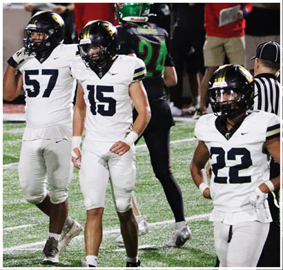 People wearing white football uniforms with numbers 15 and 22 are standing on a green field. Description generated by AI