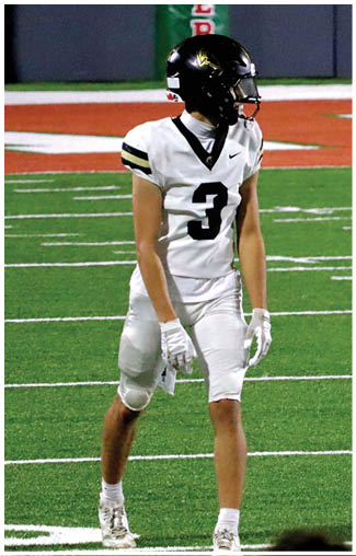 A person wearing white athletic gloves and white padded sports pants stands on a green field with white lines. Description generated by AI