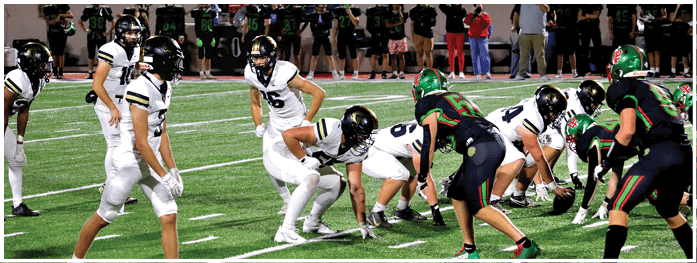 People in football uniforms are lined up on a field preparing for a play during a game. Description generated by AI