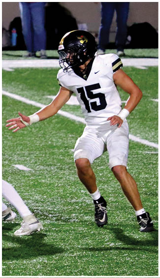 An arm wearing a white sleeve is extended over a green grass field with white lines. Description generated by AI