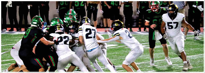 People in football uniforms are engaged in a play on a grassy field with some players blocking and others running. Description generated by AI