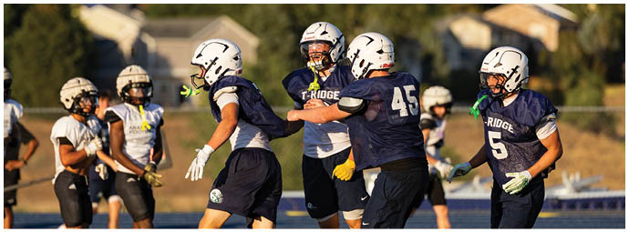 A football player wearing a blue and white uniform. Description generated by AI