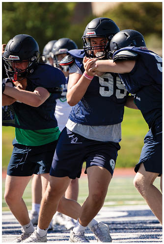 A football player catching a ball. Description generated by AI