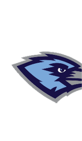 A blue and white logo for Valor. Description generated by AI