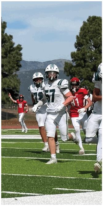 A football player catching a ball. Description generated by AI