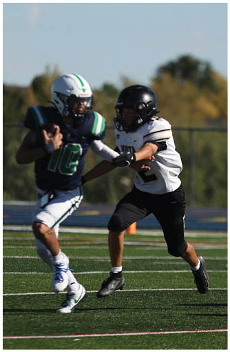 A football player catching a ball. Description generated by AI