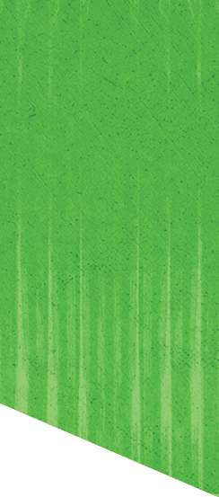 A green and white patterned background. Description generated by AI