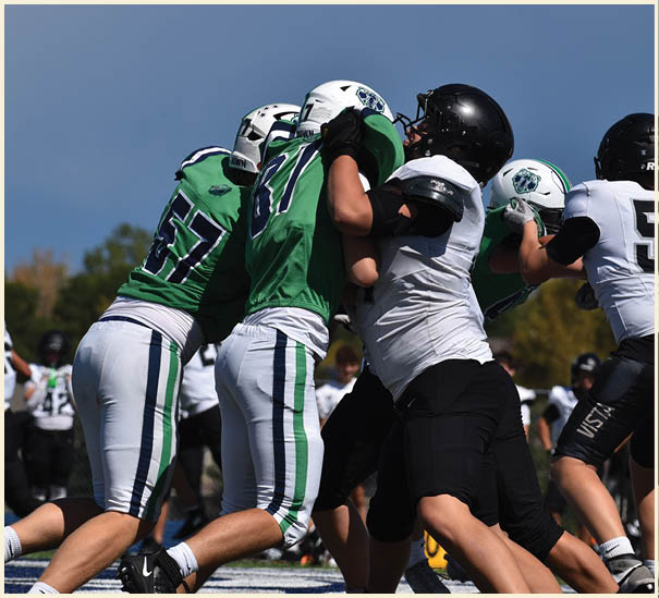 A group of football players on a field. Description generated by AI