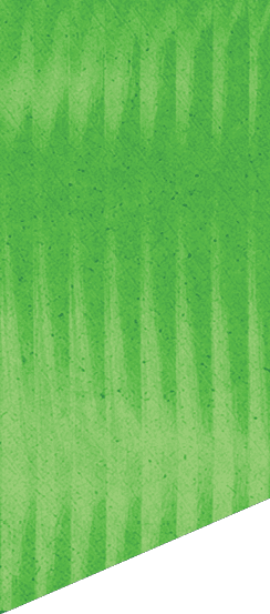A green and white patterned background. Description generated by AI