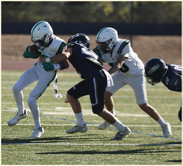 A group of football players on a field. Description generated by AI