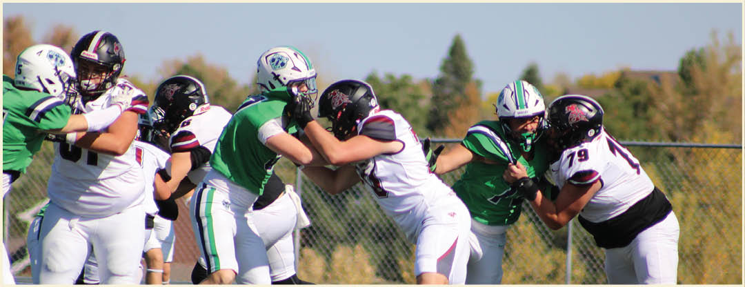 A group of football players posing for a picture. Description generated by AI