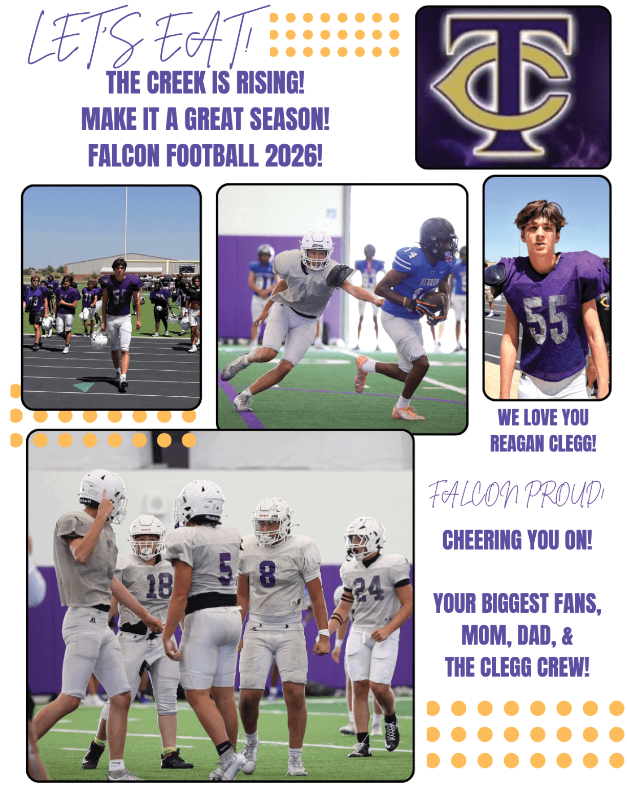 Support your falcons advertisement today. Description generated by AI