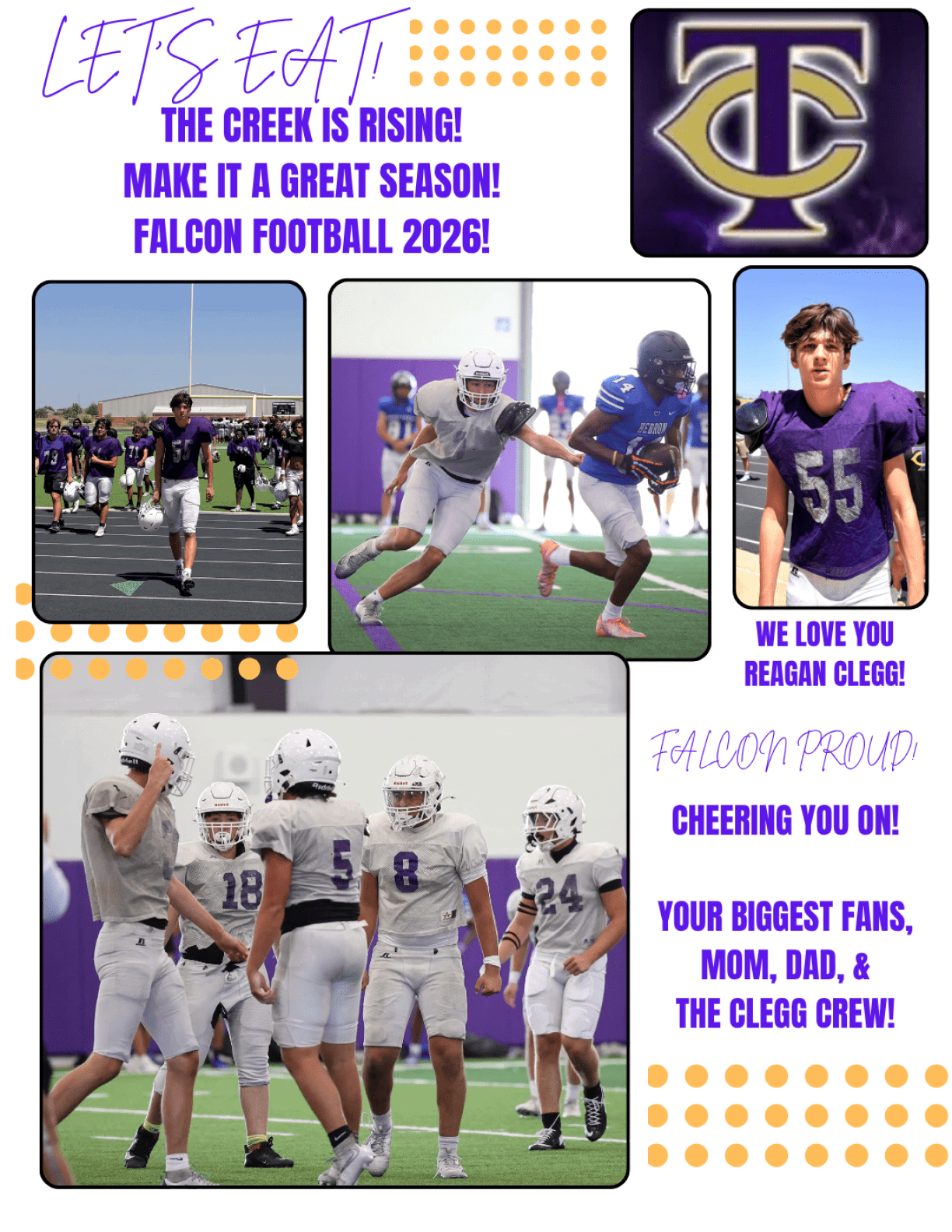 Support your falcons advertisement today. Description generated by AI
