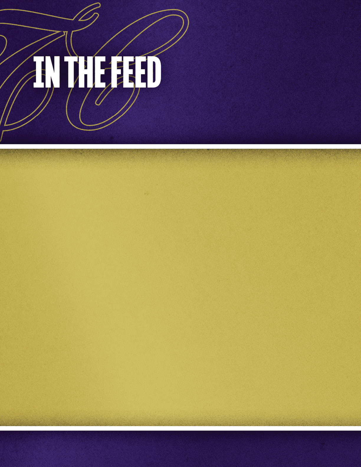 A yellow and purple blanket with a gold border. Description generated by AI