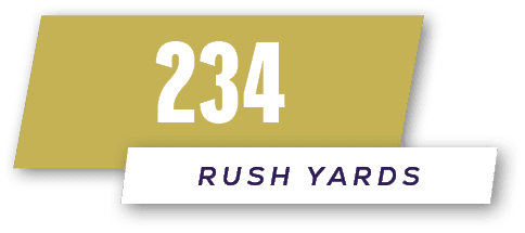 rush yards,23