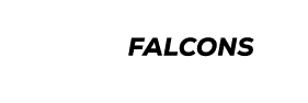 CLICK HERE & FOLLOW falcons ON INSTAGRAM!