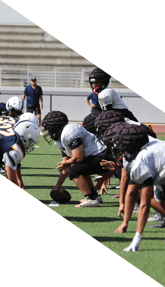 A football team is gathered around a coach, listening to his instructions. AI generated content