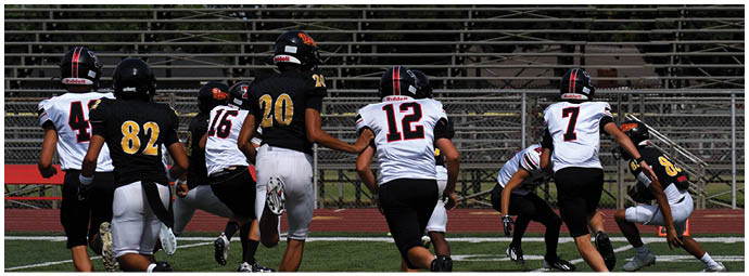 A football player wearing a blue and white uniform. Description generated by AI