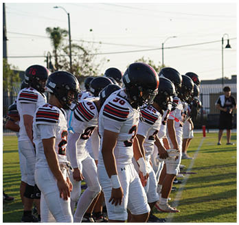 A football player running on the field. Description generated by AI