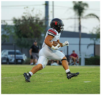 A football player running on the field. Description generated by AI