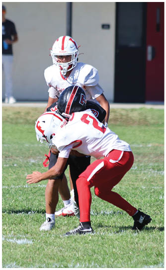 A football player catching a ball. Description generated by AI