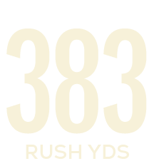rush yds,38