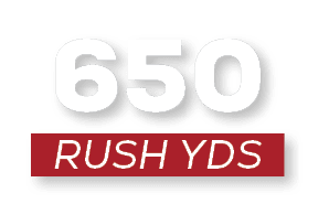 RUSH YDS,65