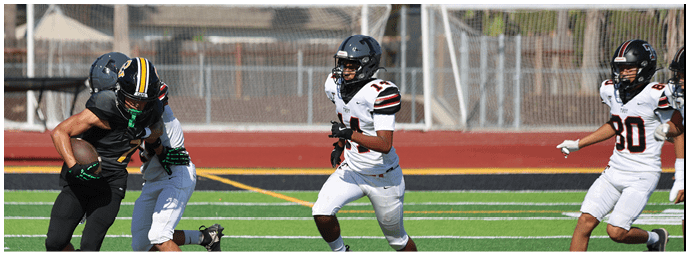 A football player wearing a blue and white uniform. Description generated by AI