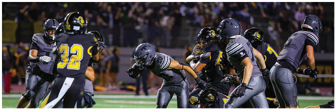 A group of football players on a field. Description generated by AI