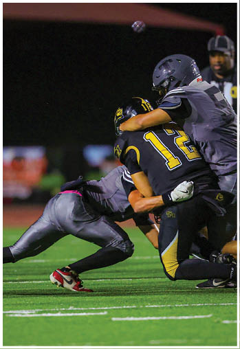 A group of football players celebrating a touchdown. Description generated by AI