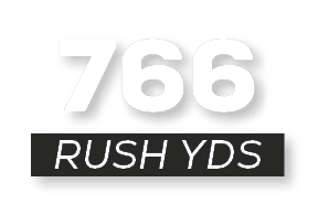 RUSH YDS,76