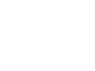 Cruise Sanchez 