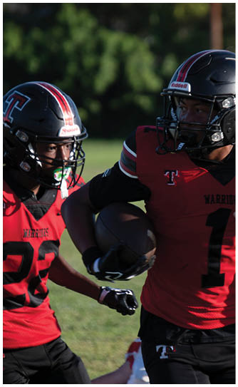 A football player catching a ball. Description generated by AI