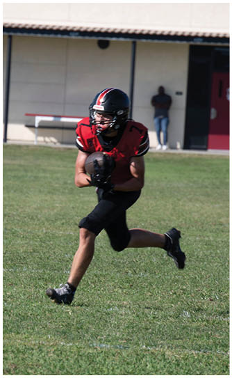 A football player catching a ball. Description generated by AI