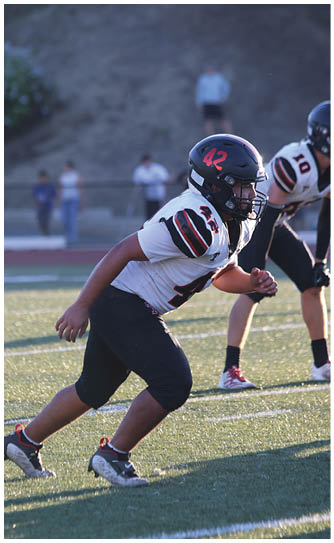 A football player catching a ball. Description generated by AI