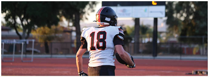 A football player wearing a blue and white uniform. Description generated by AI
