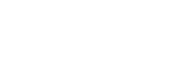 293