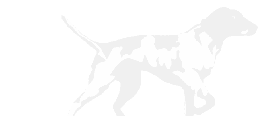 A logo for Dons football. Description generated by AI