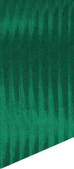 A green and white patterned background. Description generated by AI
